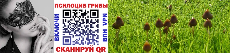 Галлюциногенные грибы Psilocybe  закладка  Псков 