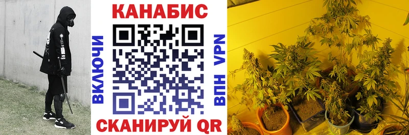 ссылка на мегу как зайти  где найти наркотики  Псков  Бошки Шишки индика 